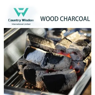 Fornecer produtos econômicos 100% carvão de bambu